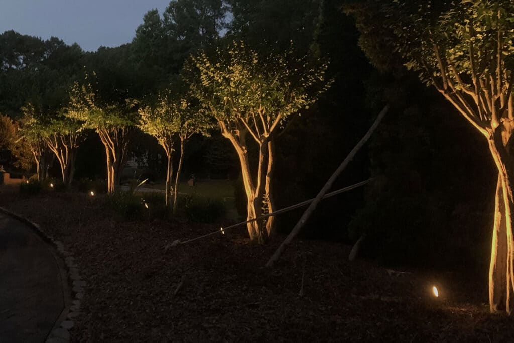 Landscape Tree Lighting
