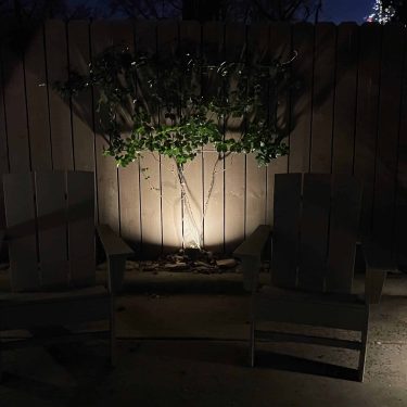 Garden Lighting 2